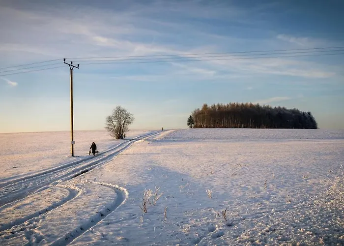 With 5 Bedrooms Feriehus Erndtebrück